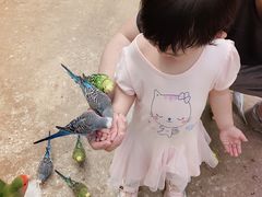 -呀路古热带植物园