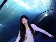 -左海海底世界