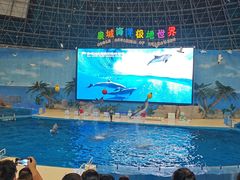 -泉城欧乐堡海洋极地世界