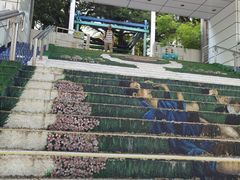 -九龙公园
