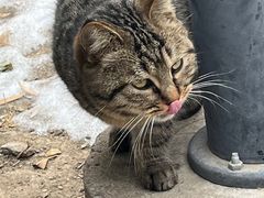 -萌兽医馆·犬猫专科·眼科中心·宠物医院(朝阳门分院)