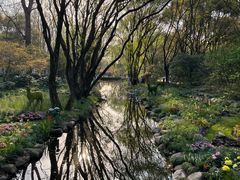 -上海共青森林公园