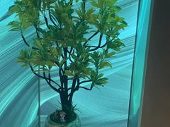 -水云空涧·沐足·采耳·按摩·SPA影院(琶洲店)