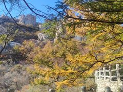 -崂山巨峰游览区