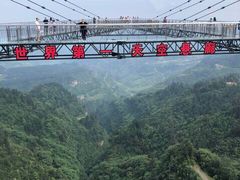 -梦幻奥陶纪景区