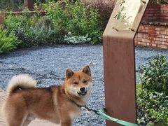-华农酸奶文化馆