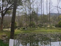 -杭州植物园