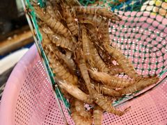 -碧海银沙海鲜餐厅(恒大海上威尼斯店)