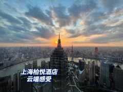 -上海柏悦酒店