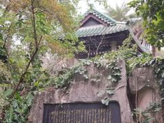 -广州兰圃