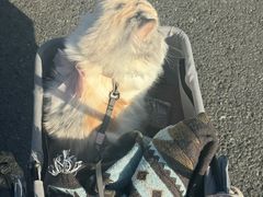 -比斯特上海购物村精品奥特莱斯