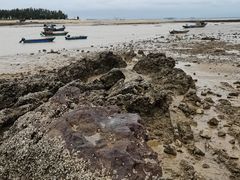 -三娘湾旅游风景区