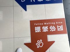 -申普宠物医院·心脏介入·心血管微创(总院)