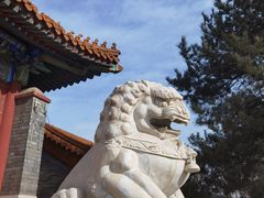 -大明幻境第一城