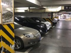 -吴山花鸟城-停车场