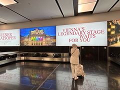 -维也纳国际机场