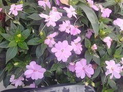 -公园前(地铁站)
