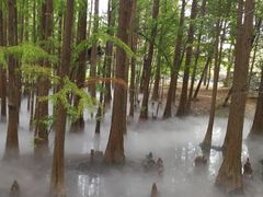 -东湖落雁景区