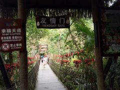-呀诺达热带雨林