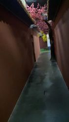 -盘子女人坊生日照·摄影馆(华强店)
