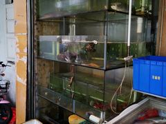 水产区-林家公鸭海鲜餐厅(故宫路店)