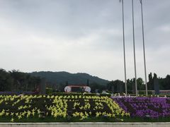 -东南花都花博园