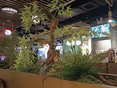 -鲜潭蒸汽石锅鱼(五道口购物中心店)