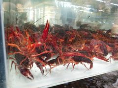 -苏果好的便利(小卫街店)