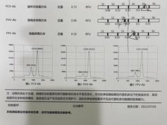 -艾吉宠物医院·疑难杂症转诊中心·猫友好(碧江路院)