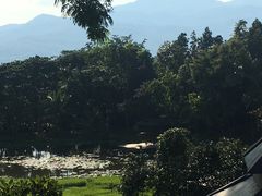 -四季酒店下午茶