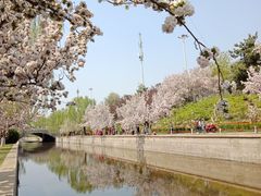 -海棠花溪(元大都城垣遗址公园)