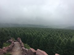 -塞罕坝国家级自然保护区