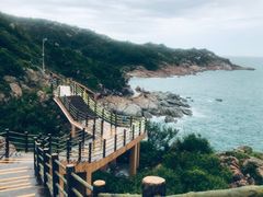 -广东惠东海龟国家级自然保护区