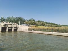 -西青郊野公园