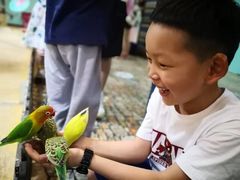 -上海大自然野生昆虫馆(东方明珠·爬宠昆虫探索中心)