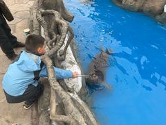 -华夏文旅海洋公园