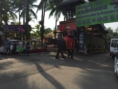 -东芭乐园
