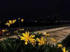 -宁波大剧院
