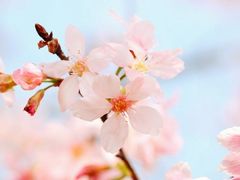 -蓝田九大碗民俗食府(蓝田店)