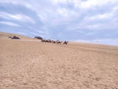 -玉龙沙湖景区
