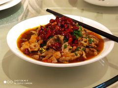 -锦粤宫·精致粤菜(深圳北站店)