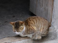 -崇仁古镇