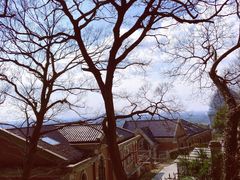 -上海佘山国家森林公园西佘山园