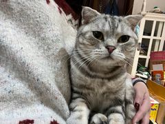 -纳吉亚猫专科动物医院·北北分院