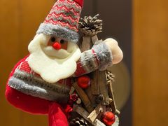 -桃花源中餐厅(金茂豪华精选酒店)