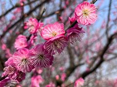 -花开海上生态园