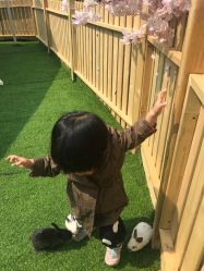 -萌宠亲子动物乐园(槐房万达店)