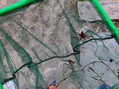 -碓臼峪自然风景区