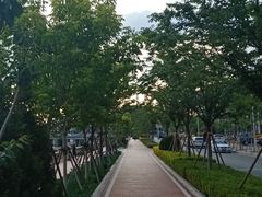 -马栏河运动公园