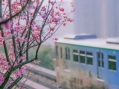 -佛图关公园
